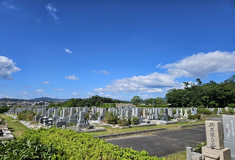 兵庫、大阪で墓じまいなら「ハナミズキ」