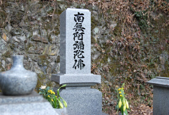 兵庫、大阪で墓じまいなら「ハナミズキ」
