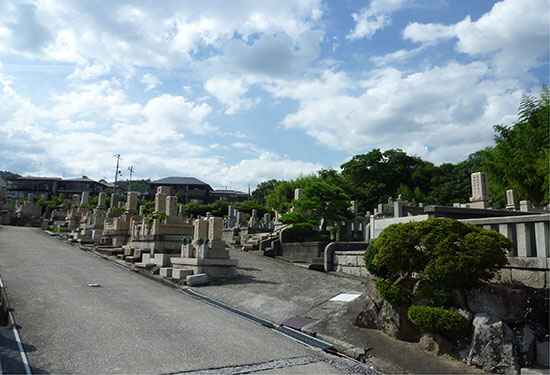 川西市火打墓地墓じまいハナミズキ