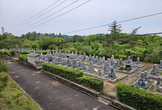 池田市五月山霊園墓じまいハナミズキ