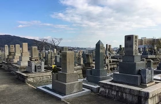 川西市小戸霊園墓じまいハナミズキ