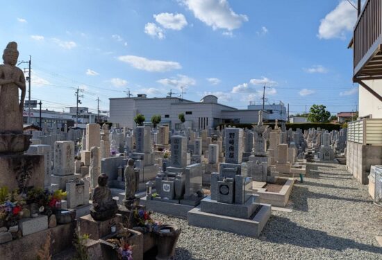 伊丹市一ツ橋霊園のお墓じまい・更地返還工事なら｜完全自社施工のハナミズキ